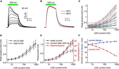 Biophysical characterization of light-gated ion channels using planar automated patch clamp